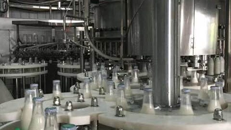 果蔬分拣清洗机：自动化时代的人工替代者