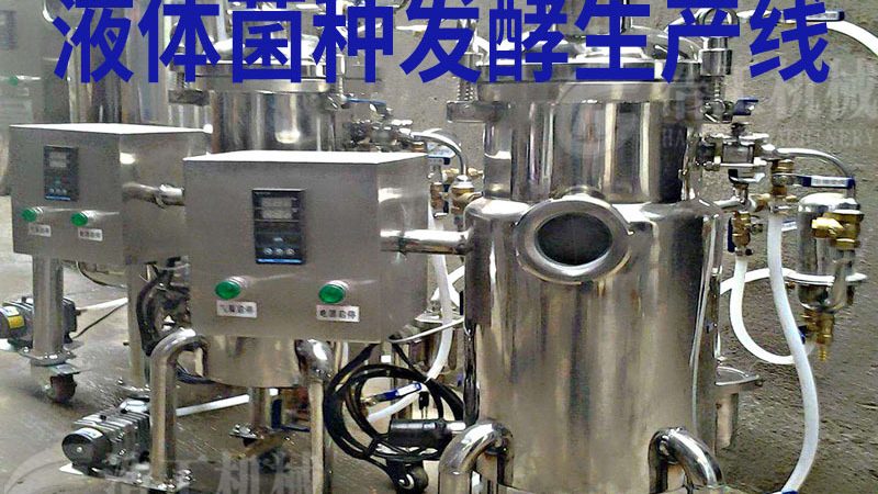 全自动油炸机：现代食品加工的得力助手