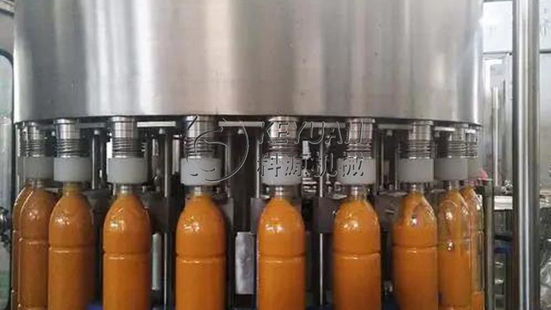 揭秘冻干机行业：十大品牌背后的技术秘密